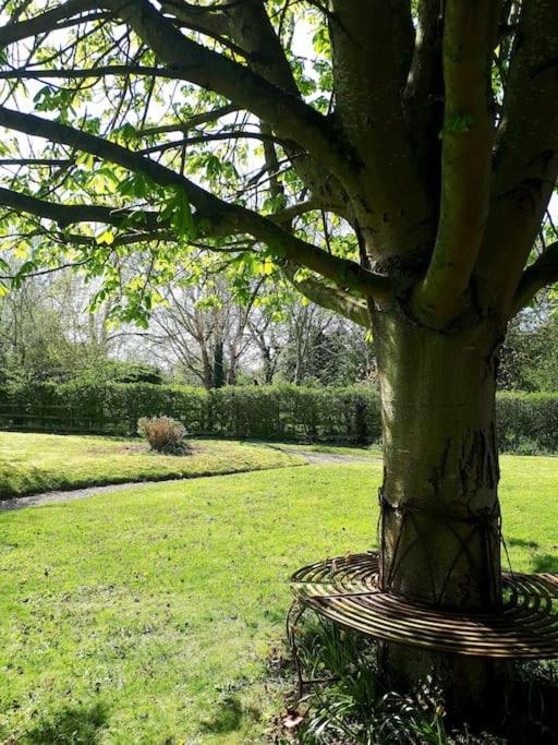 Host & Stay - Clara Cottage Bretforton Kültér fotó